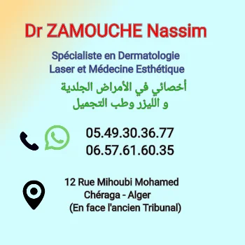 Dr Nassim Zamouche 